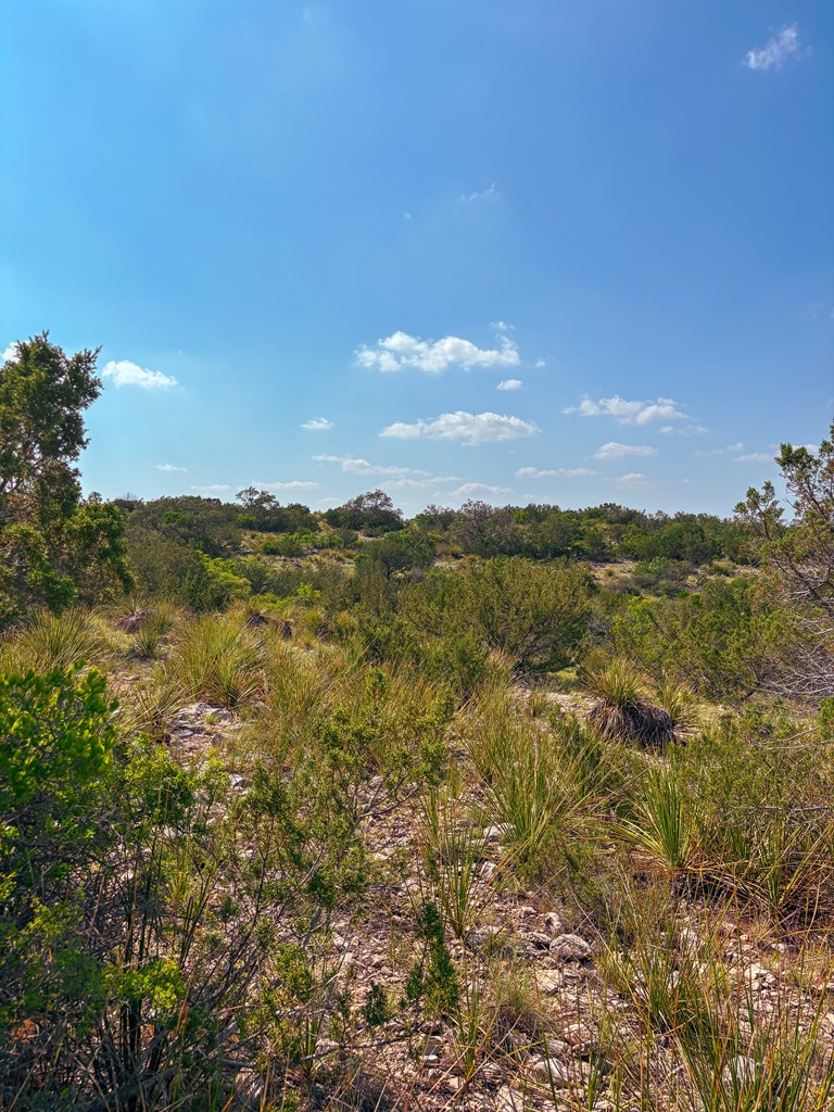 Lot 48 County Rd 410 Property Photo 16