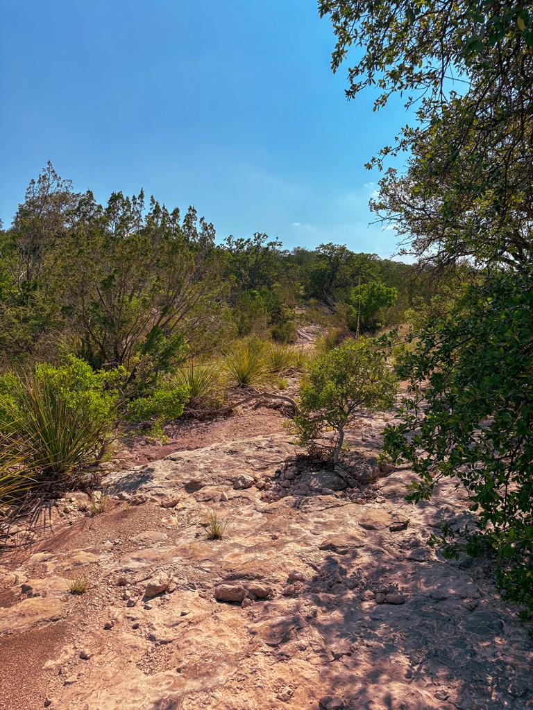Lot 48 County Rd 410 Property Photo 17