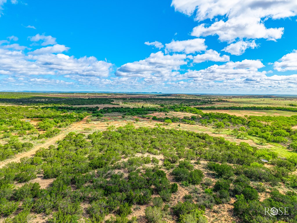 2400 Fm 2662 Property Photo 40