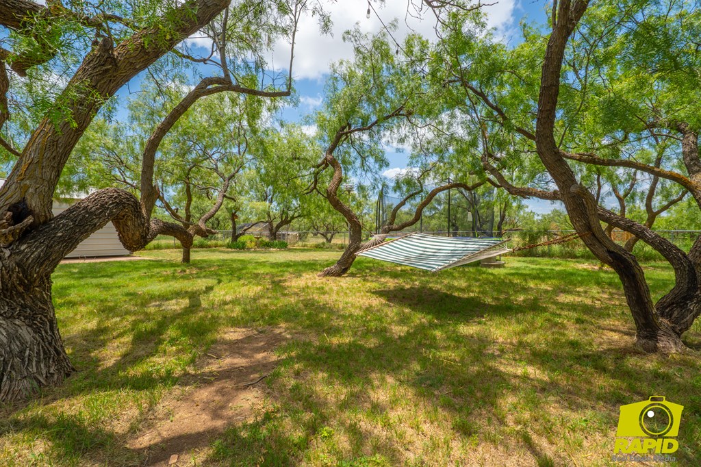 10561 Twin Lakes Lane Property Photo 43