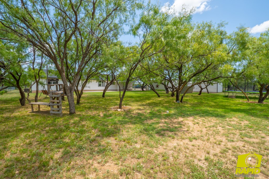 10561 Twin Lakes Lane Property Photo 46