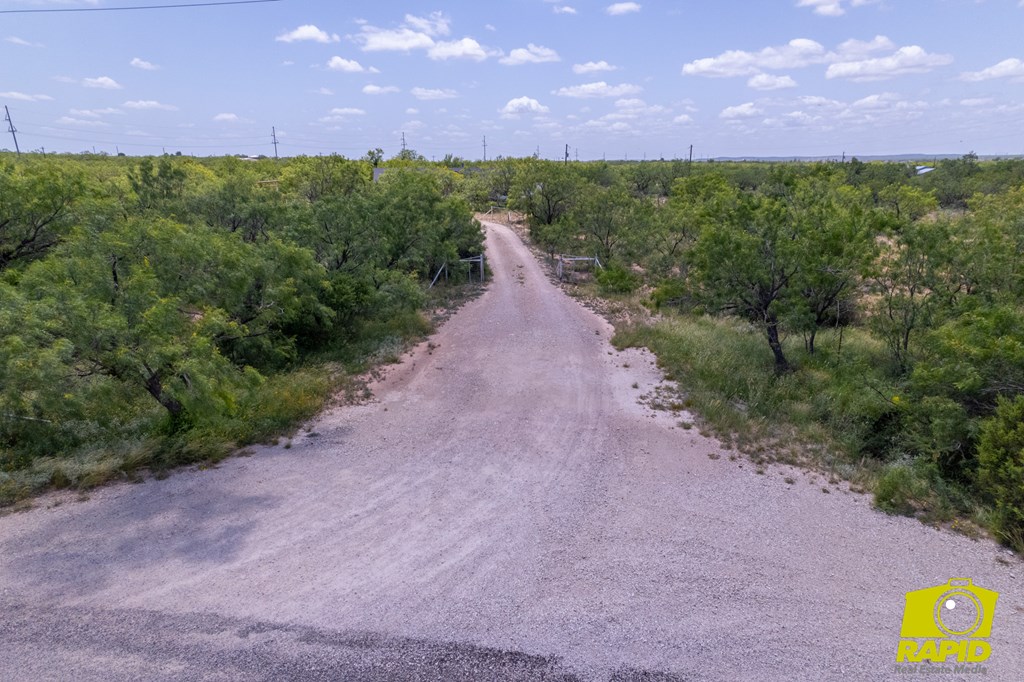10561 Twin Lakes Lane Property Photo 56