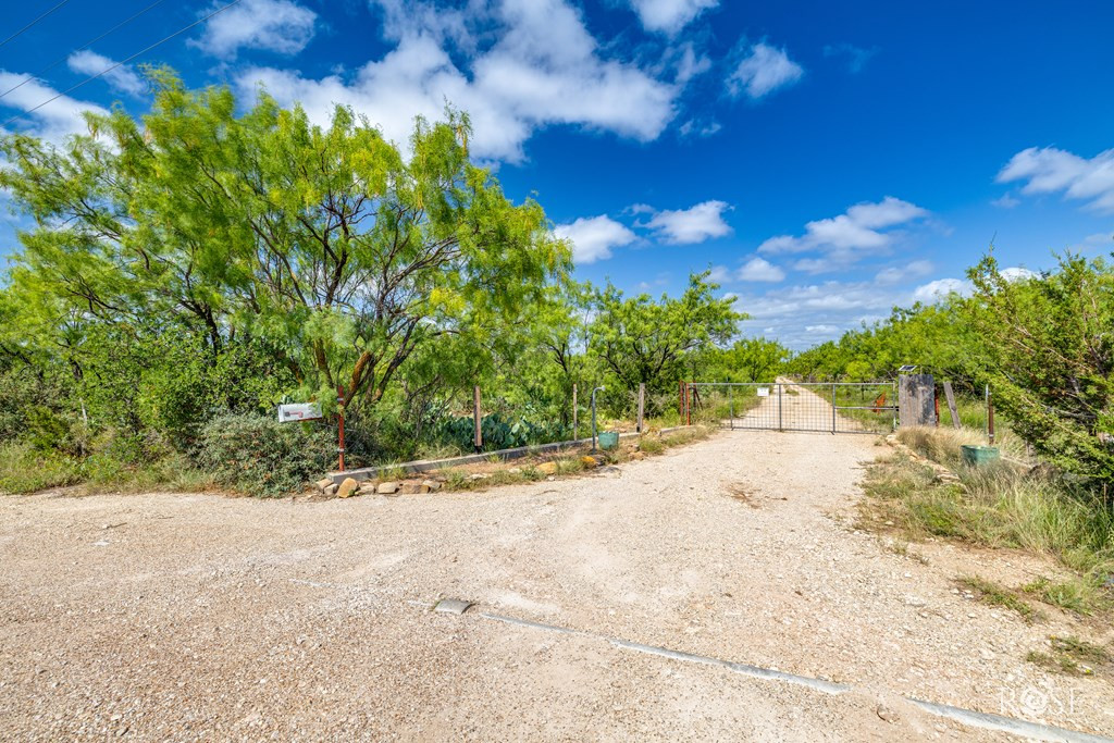 11483 N Grape Creek Road Property Photo 4