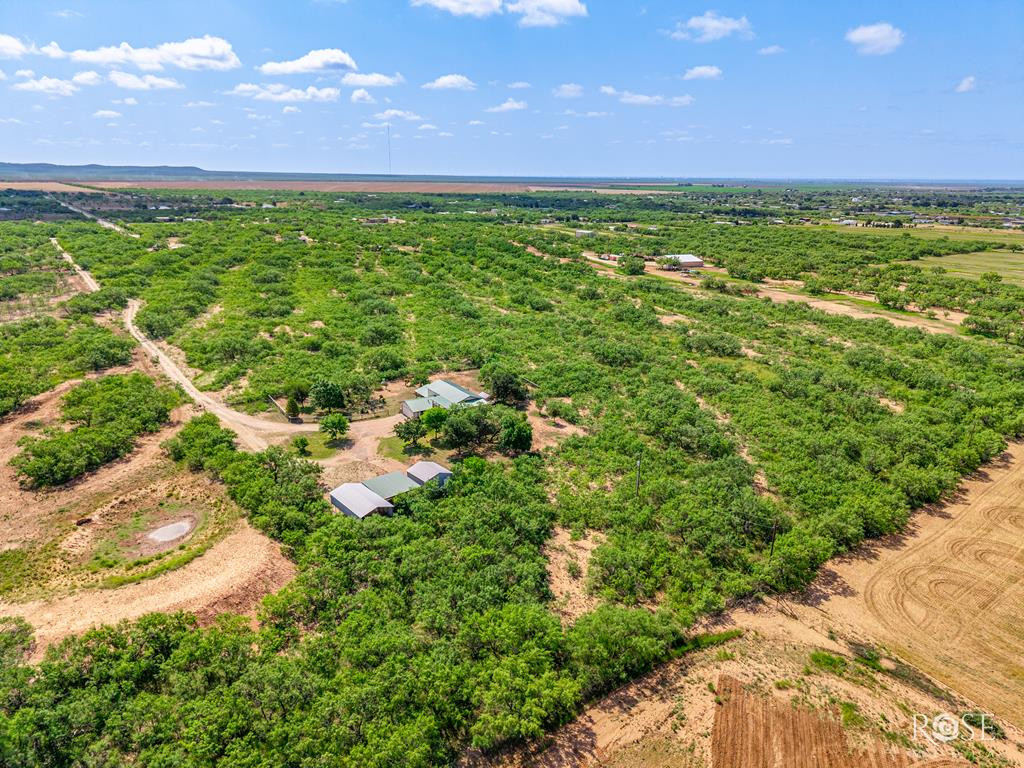 11483 N Grape Creek Road Property Photo 43
