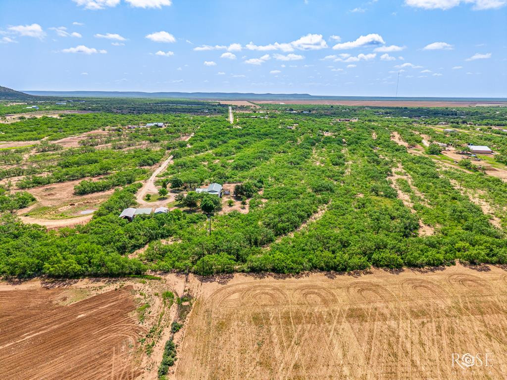 11483 N Grape Creek Road Property Photo 44