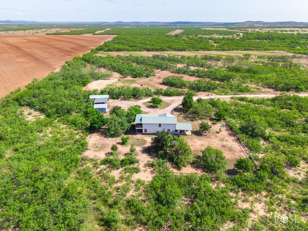 11483 N Grape Creek Road Property Photo 47
