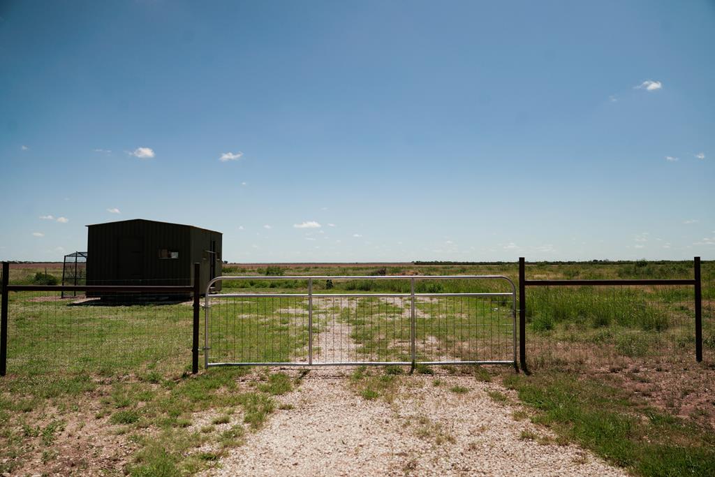 12642 Rasberry Lane Property Photo 45