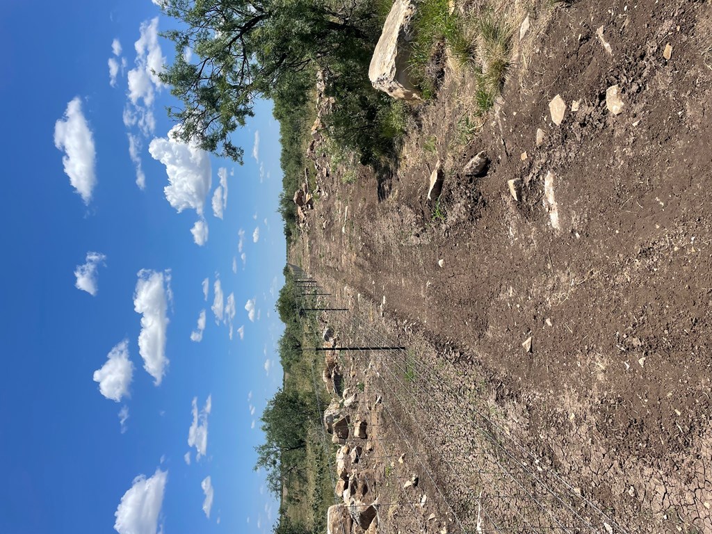 0000 Fm 1828 Property Photo 11
