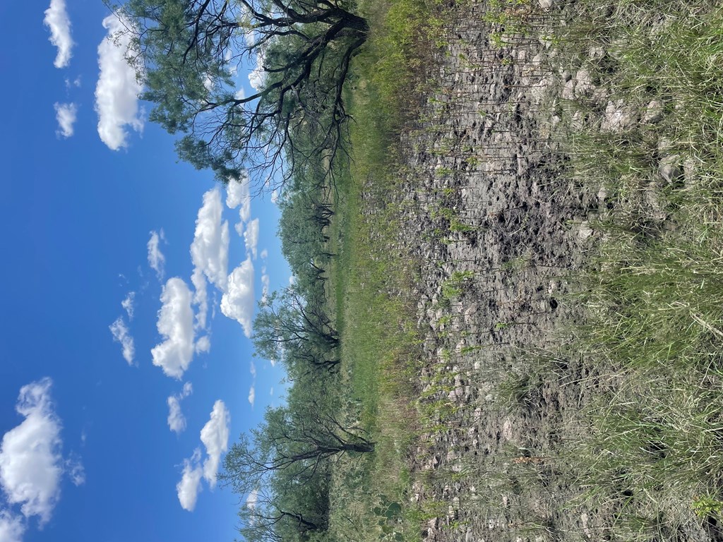 0000 Fm 1828 Property Photo 12