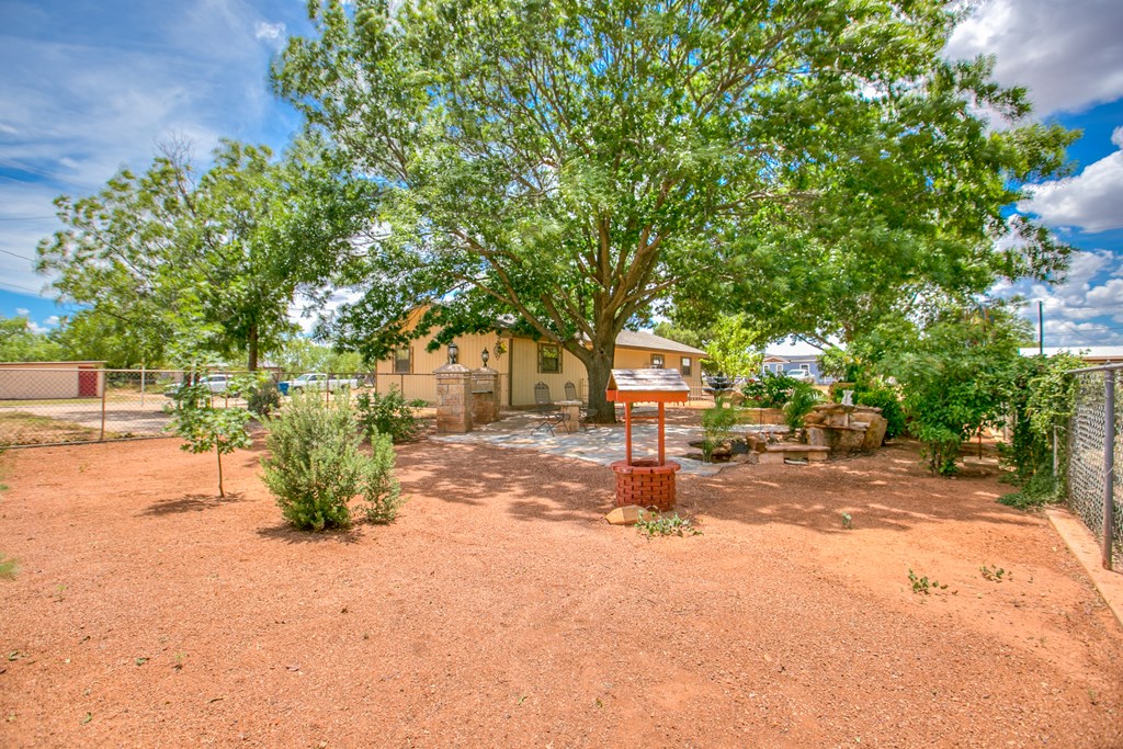 220 Mcdowell St Property Photo 29