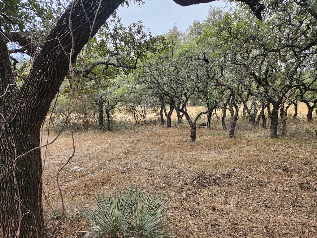 75 Pr 675 Property Photo 18