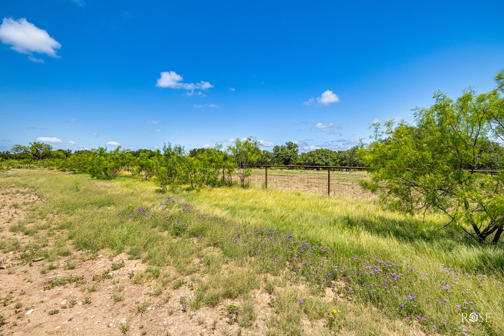 6873 Green Oaks Dr Property Photo 59