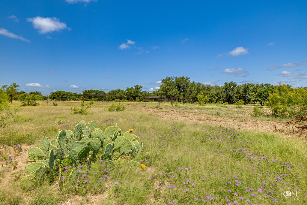 6873 Green Oaks Dr Property Photo 60