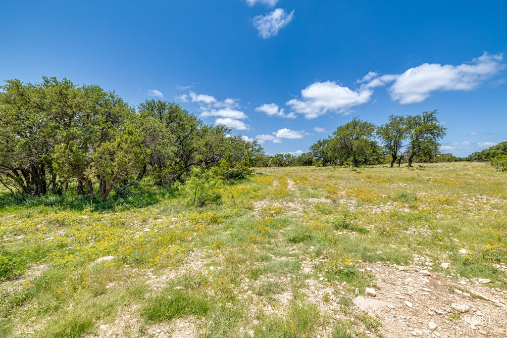 6873 Green Oaks Drive Property Photo 49