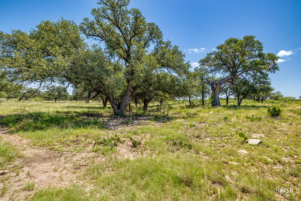 6873 Green Oaks Drive Property Photo 58