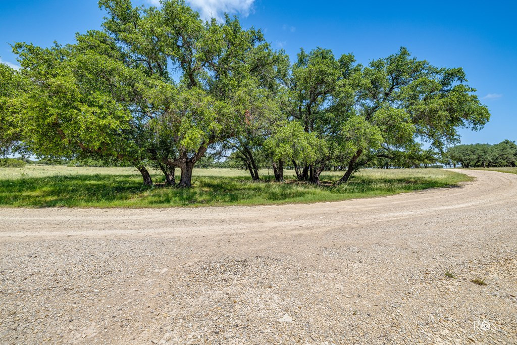6873 Green Oaks Drive Property Photo 61