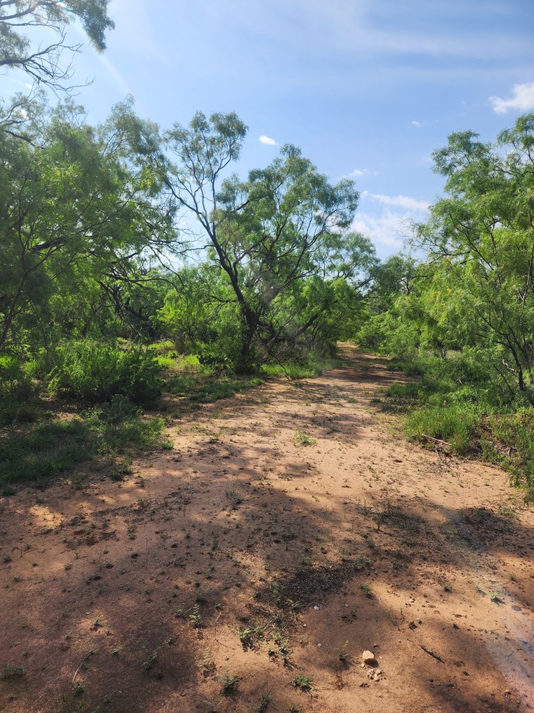 113 Private Rd 3561 Property Photo 13