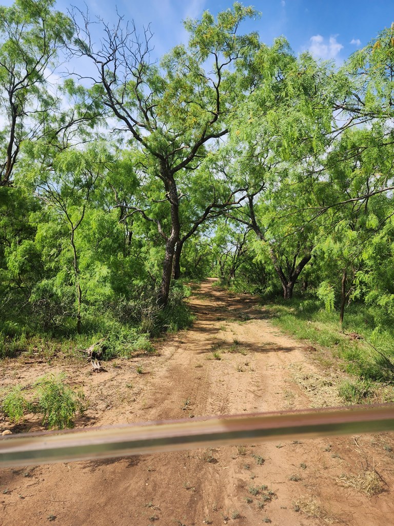 113 Private Rd 3561 Property Photo 15