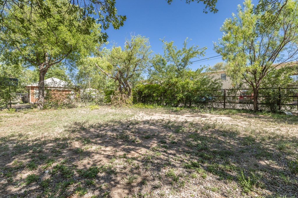 410 Spaulding St Property Photo 23