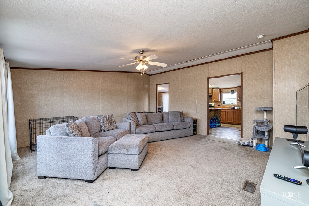 7036 Hwy 67 Property Photo 2