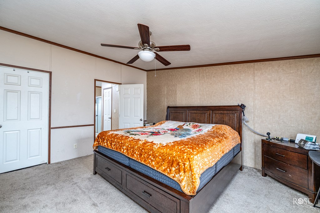 7036 Hwy 67 Property Photo 5