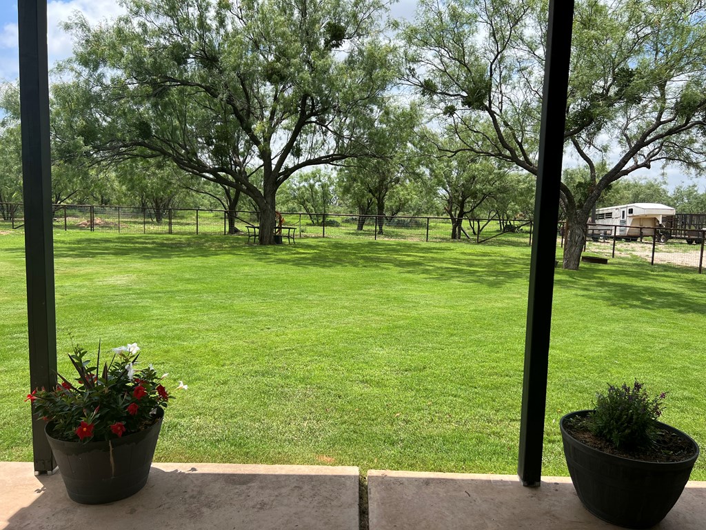 7809 Alma Jo Dr Property Photo 43