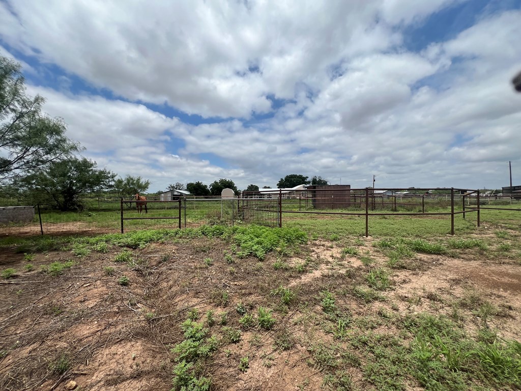 7809 Alma Jo Dr Property Photo 59
