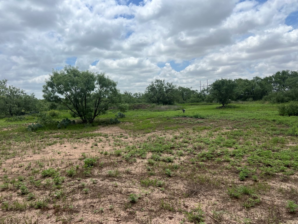 7809 Alma Jo Dr Property Photo 64