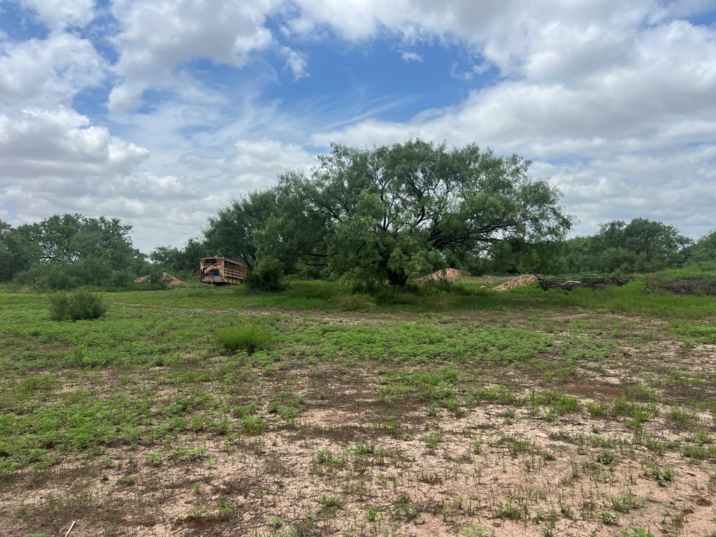 7809 Alma Jo Dr Property Photo 65