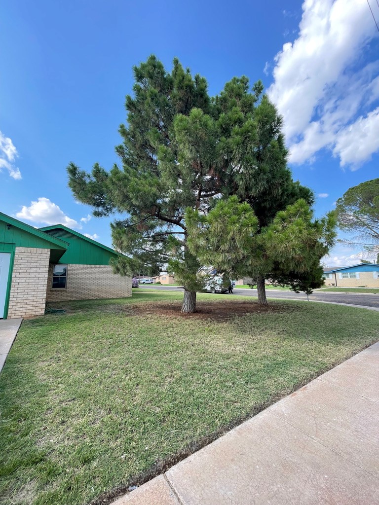 1008 Pine Property Photo 32