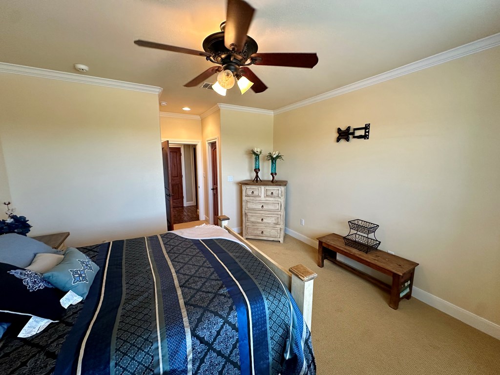 15901 Fm 2402 Property Photo 40