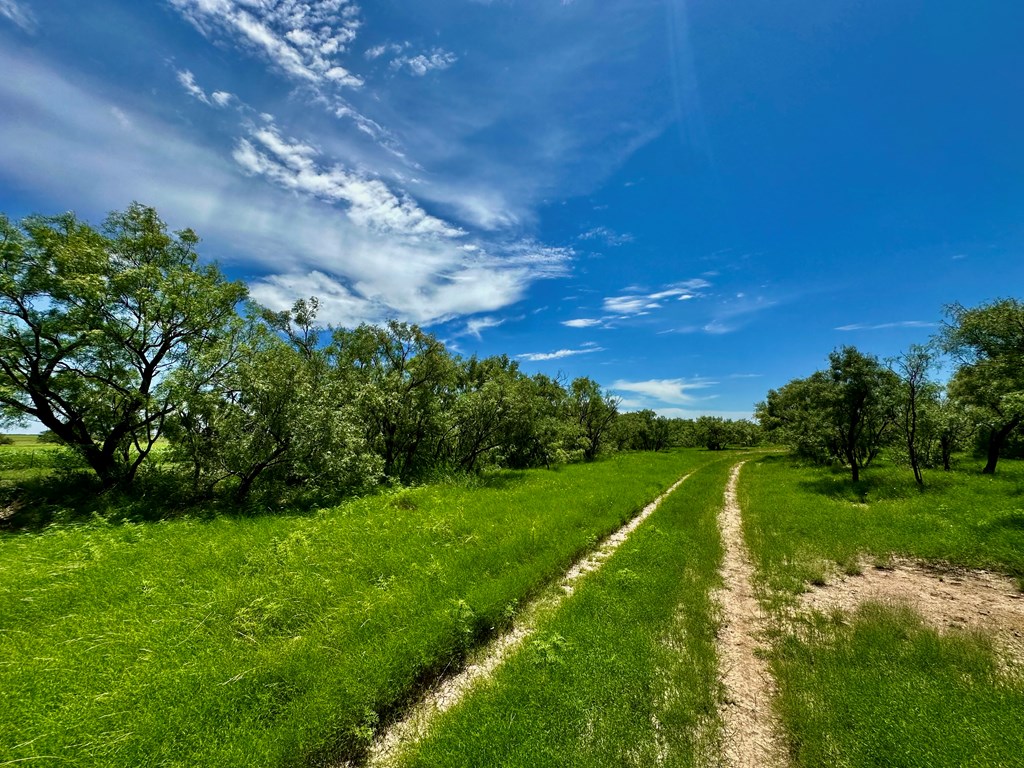 15901 Fm 2402 Property Photo 64