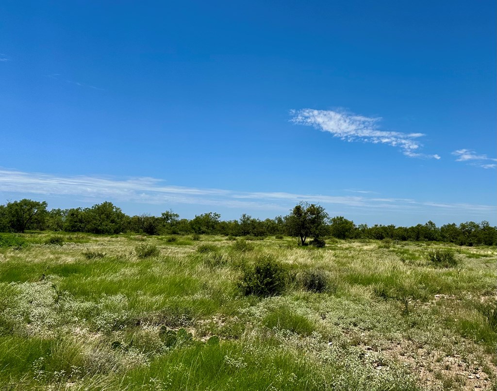 15901 Fm 2402 Property Photo 65