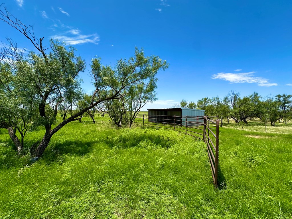 15901 Fm 2402 Property Photo 66