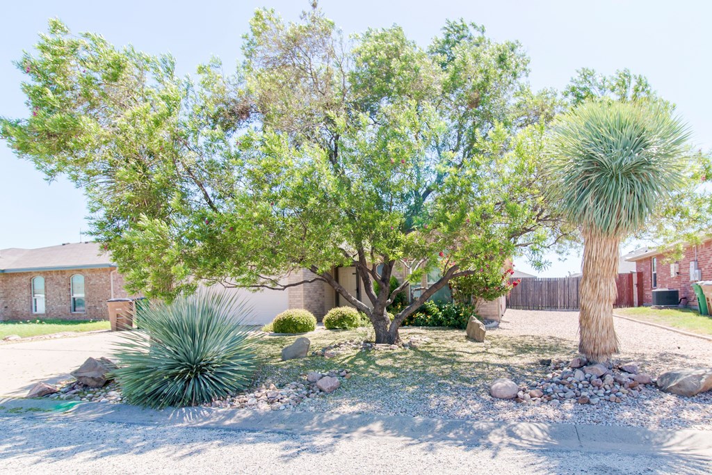 1224 Johnny Lane Property Photo 2