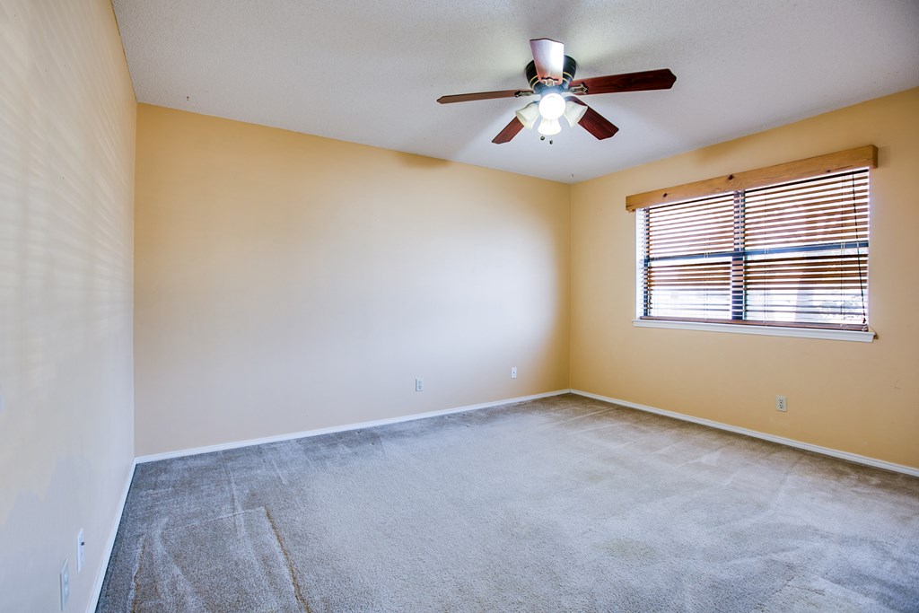 4201 Shefflera Dr Property Photo 23