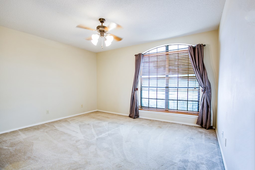 4201 Shefflera Dr Property Photo 26