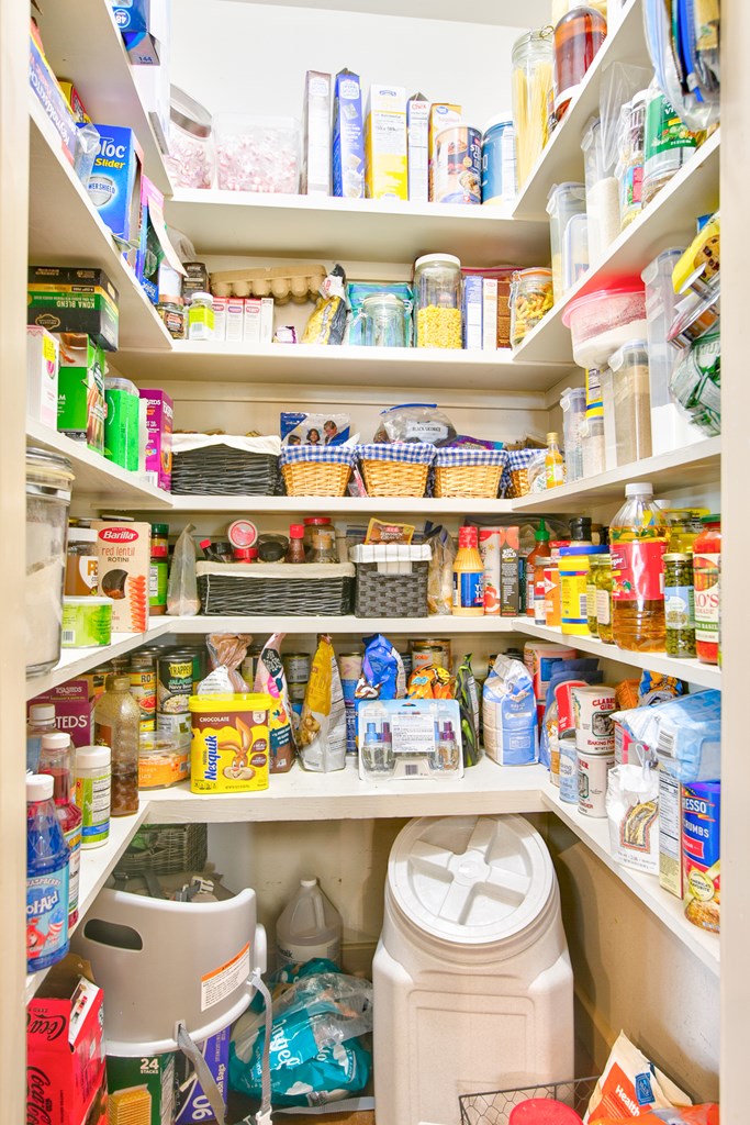 252 Edinburgh Rd Property Photo 20