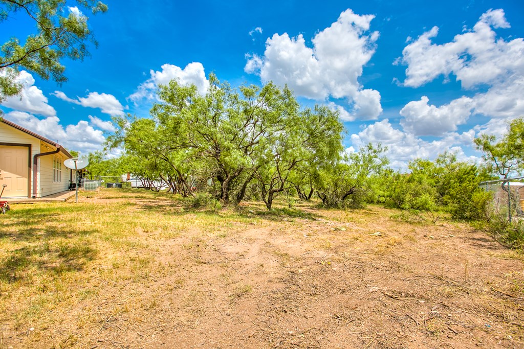 252 Edinburgh Rd Property Photo 35