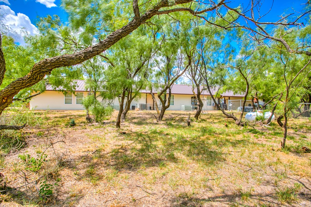 252 Edinburgh Rd Property Photo 36