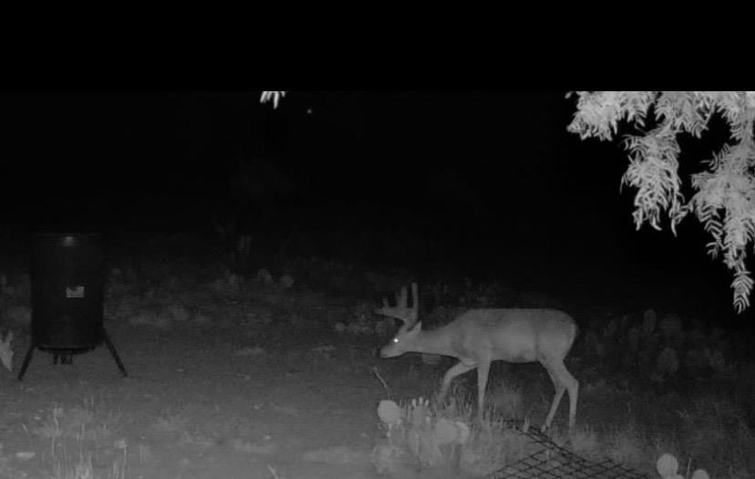 0000 Fm 1828 Property Photo 1