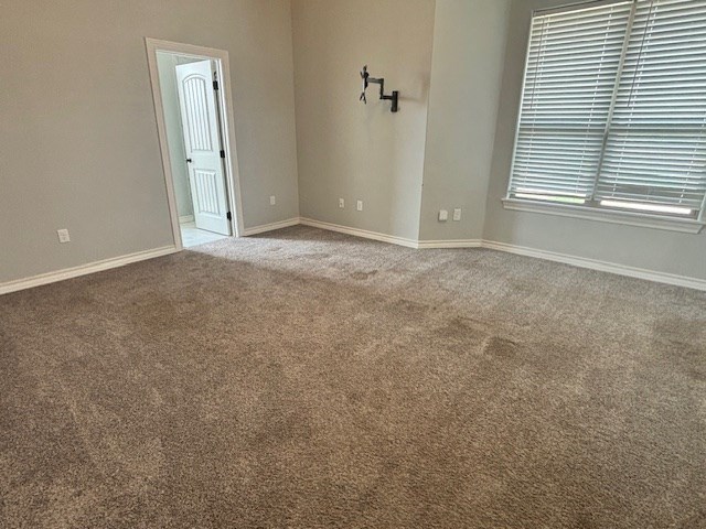 5302 Grey Wolf Lane Property Photo 7