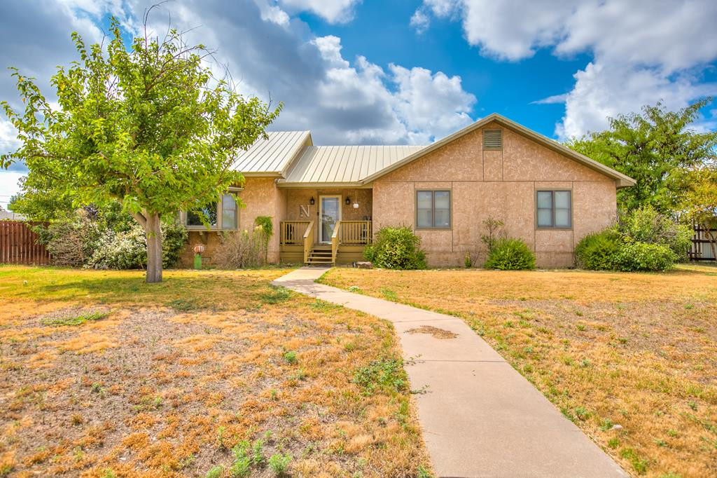 206 Willow Pond Street Property Photo 1