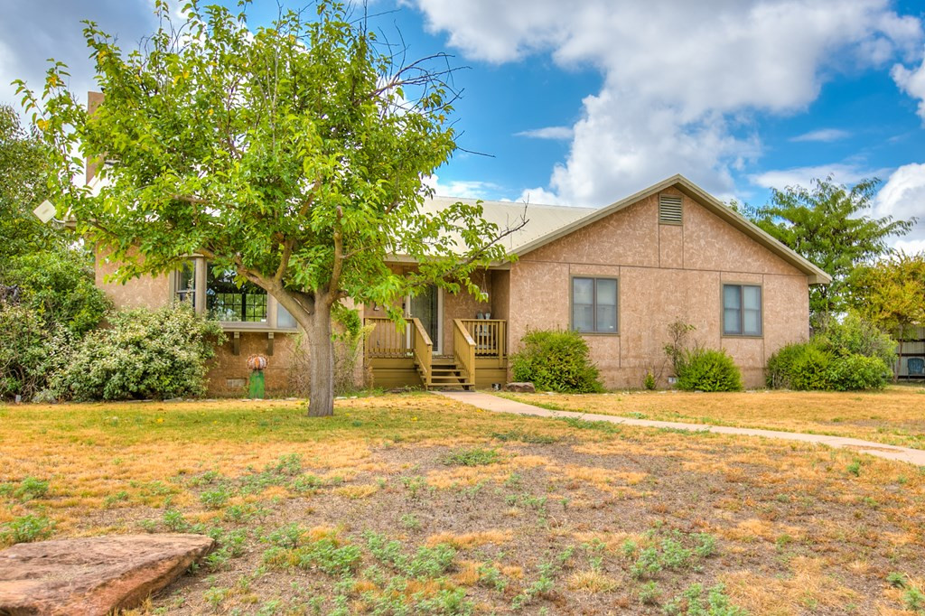 206 Willow Pond Street Property Photo 3