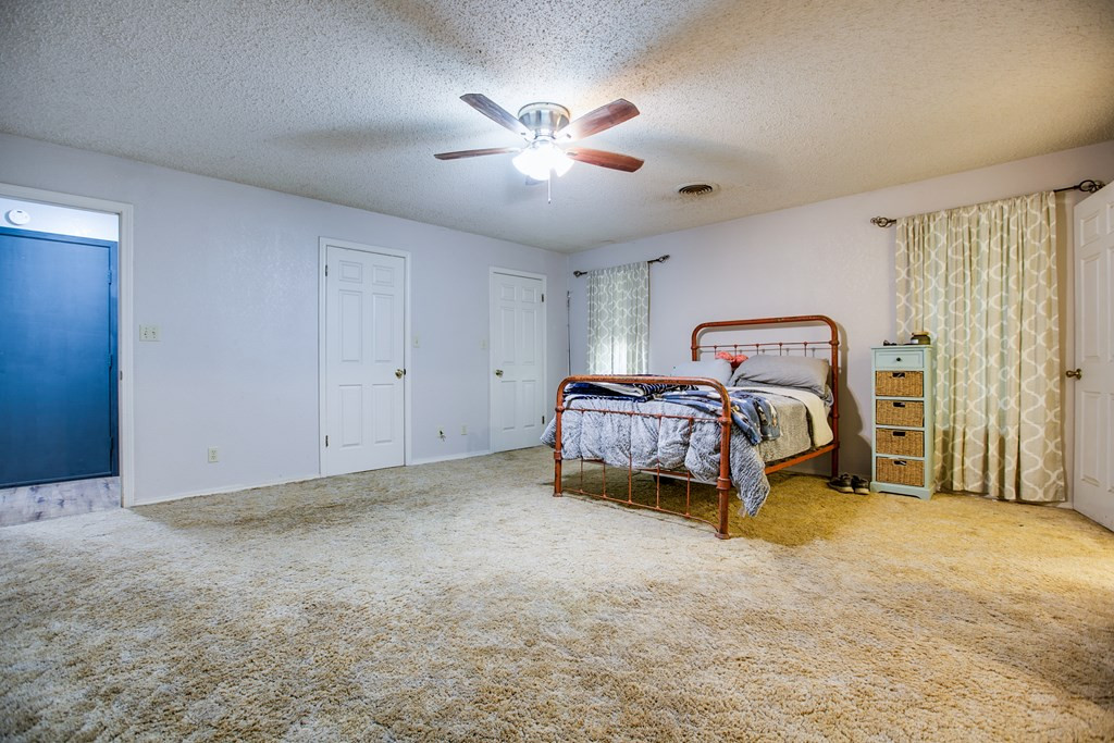 206 Willow Pond Street Property Photo 22