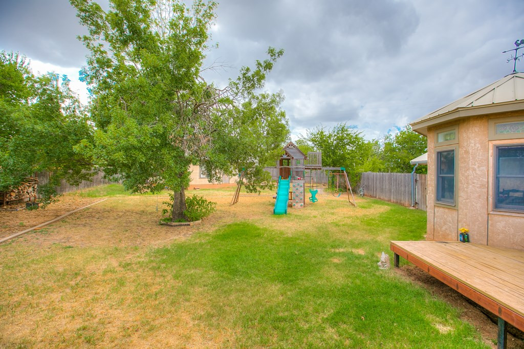 206 Willow Pond Street Property Photo 31
