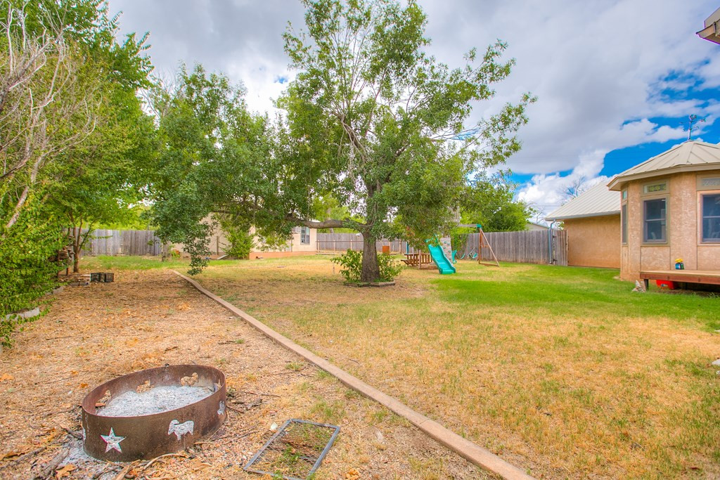 206 Willow Pond Street Property Photo 34
