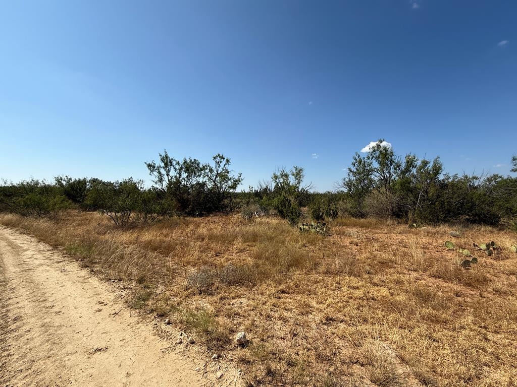 480 Craft Trail Property Photo 1