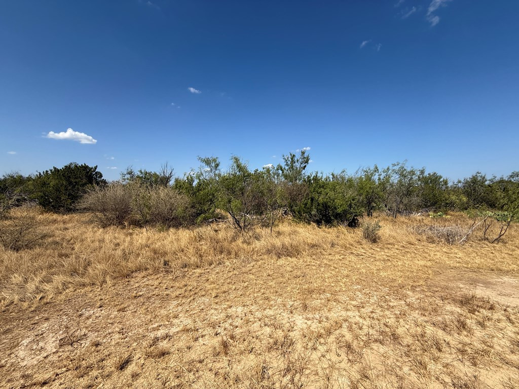 480 Craft Trail Property Photo 2
