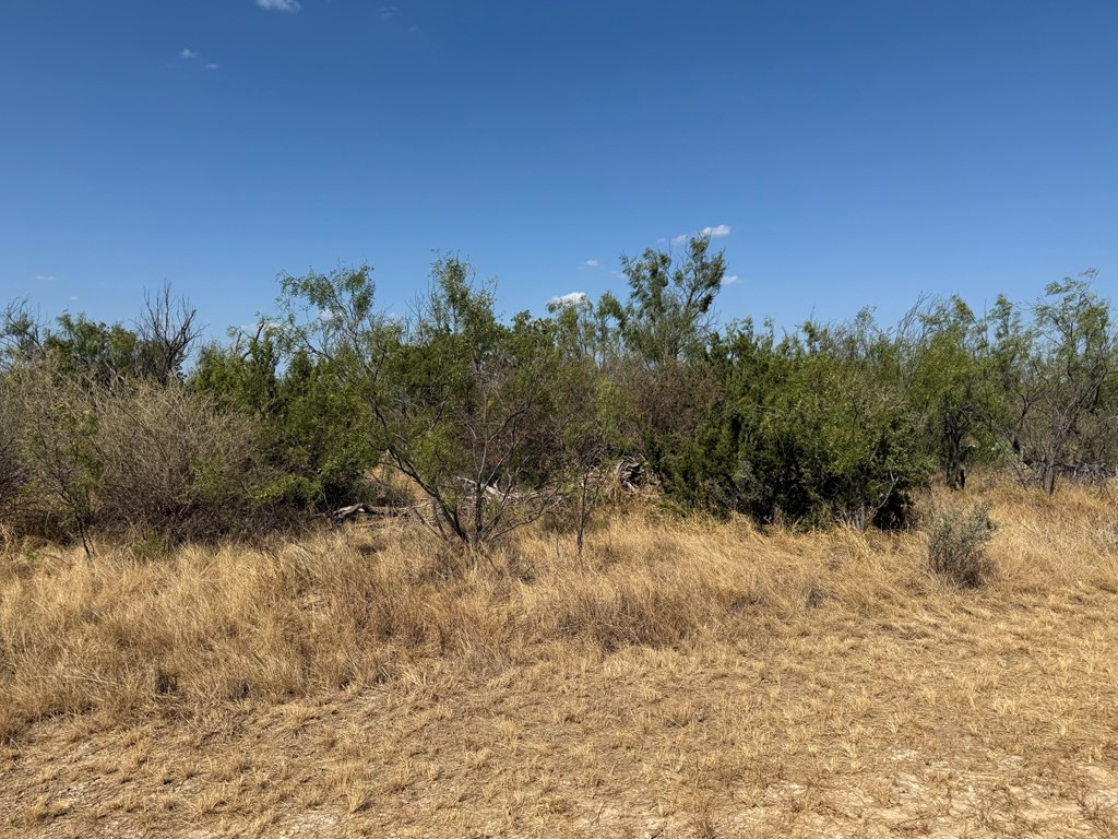 480 Craft Trail Property Photo 3